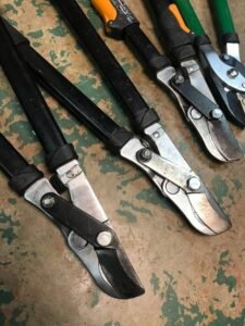 Clean Sharp Loppers