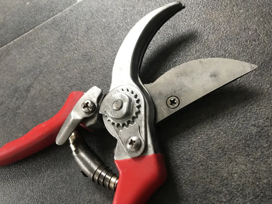 Garden tool sharpening Halifax sharpened garden pruners with red handles lying on a grey background